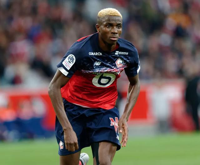 爱游戏app-那不勒斯发布备战花絮，国际比赛日迎来里程碑，法甲任务艰巨，赛程密集仍需轮换的简单介绍